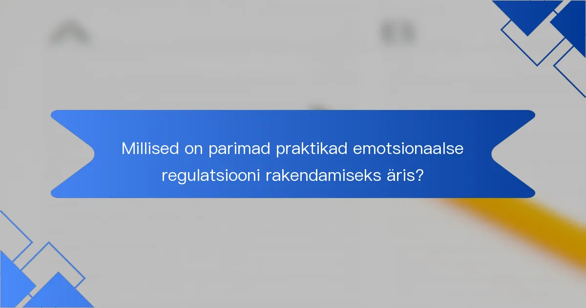 Millised on parimad praktikad emotsionaalse regulatsiooni rakendamiseks äris?