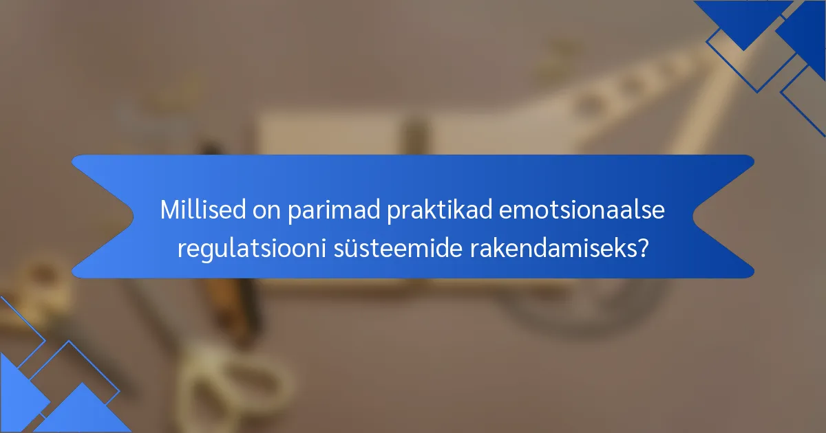 Millised on parimad praktikad emotsionaalse regulatsiooni süsteemide rakendamiseks?